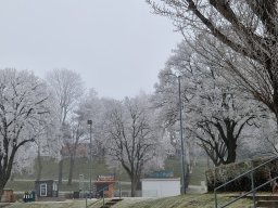 2025 Neujahrstauchen